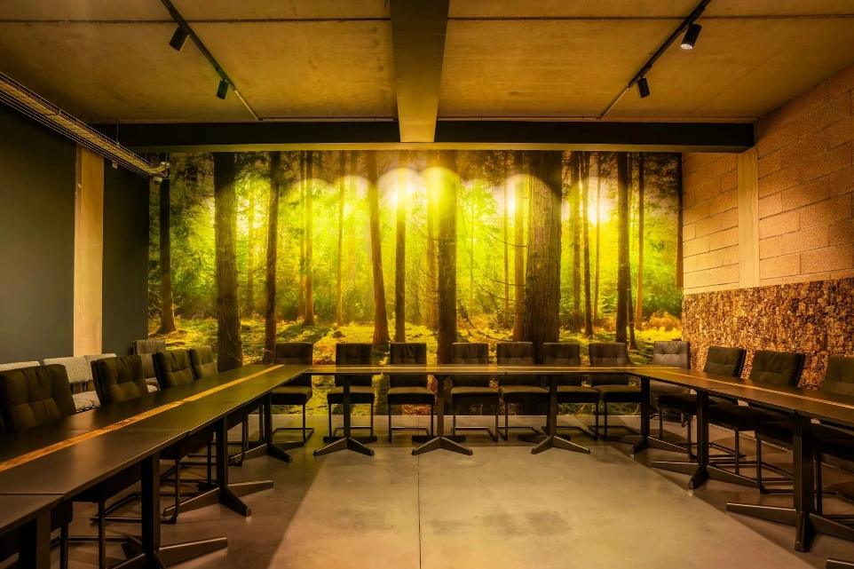 Salle Forêt - ( 25 Personnes)